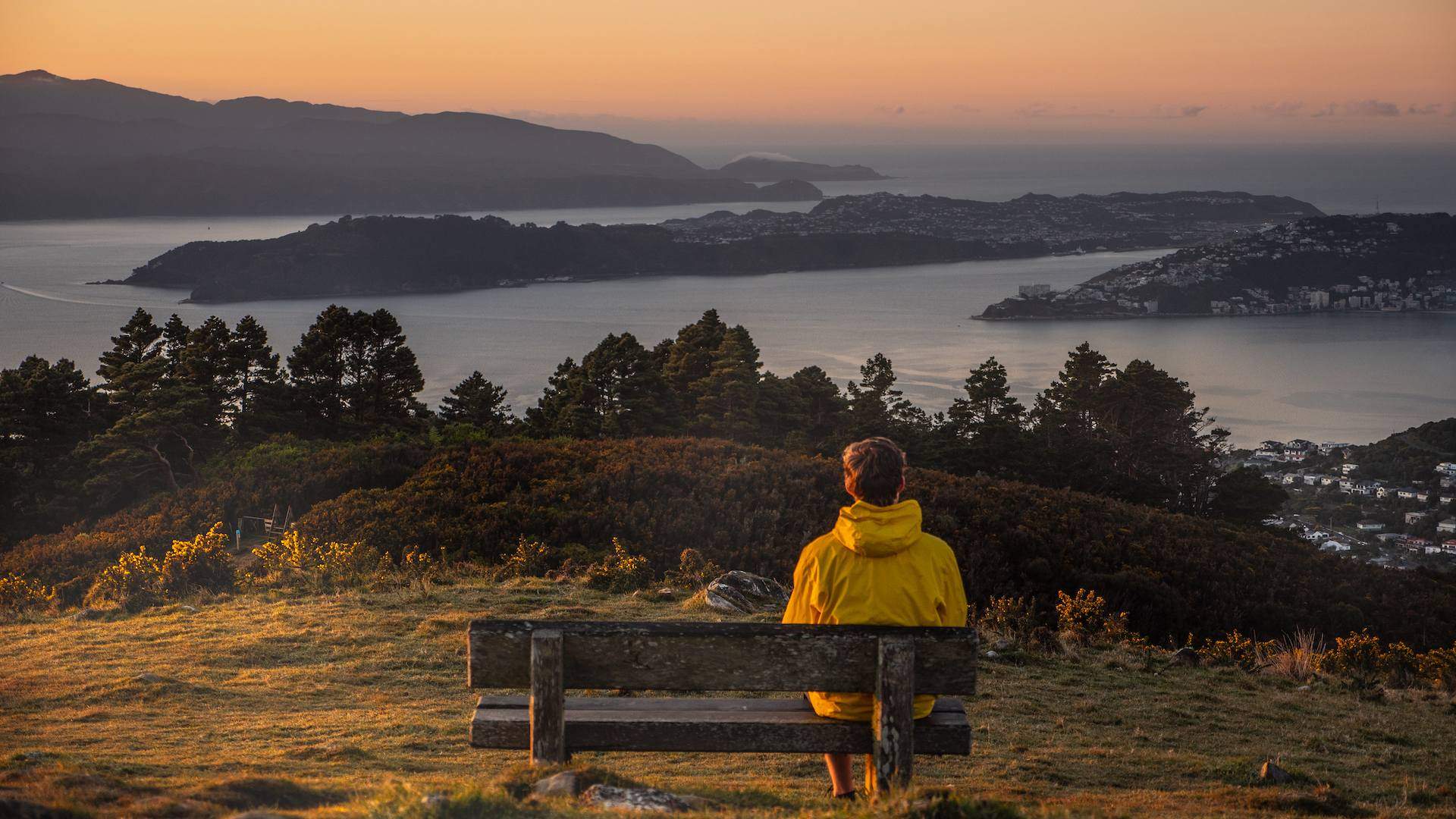 Walker preparing for a relaxed group walk on a Wellington hillside
